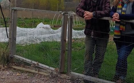 Will a Pandemic Bring Us Closer to Home(steading)? Image